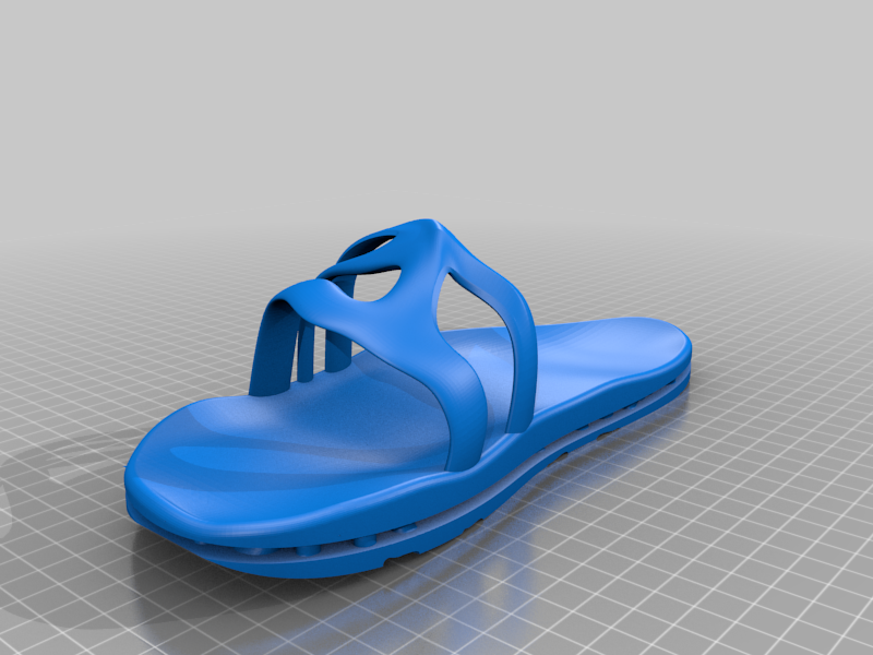 3D Printed Slide Shoe