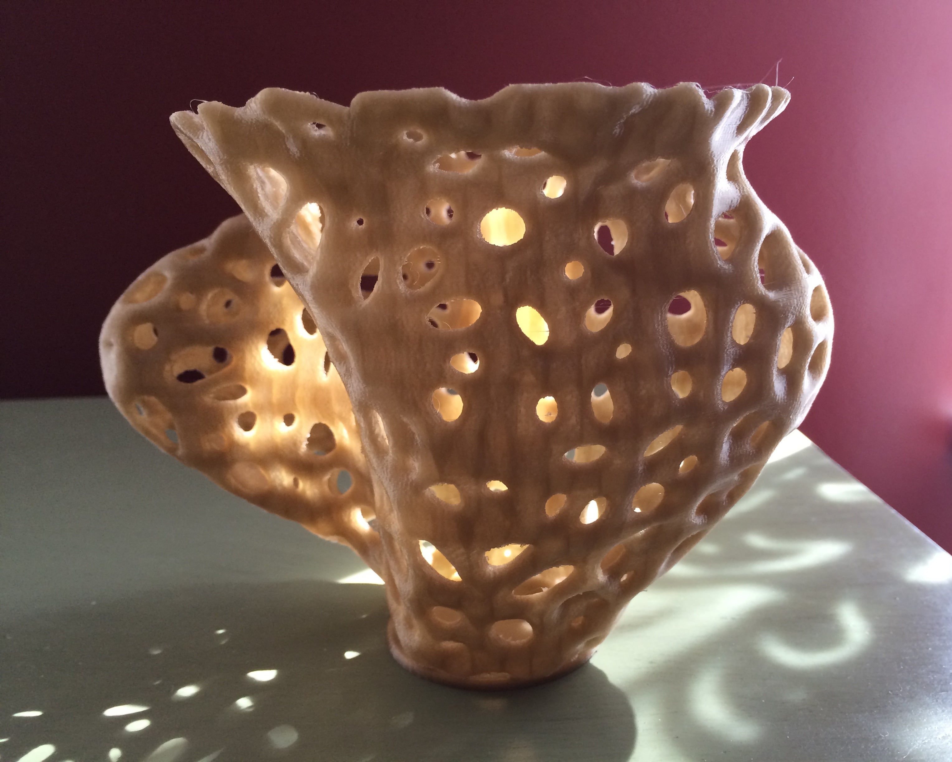Voronoi Spline Twist Vase