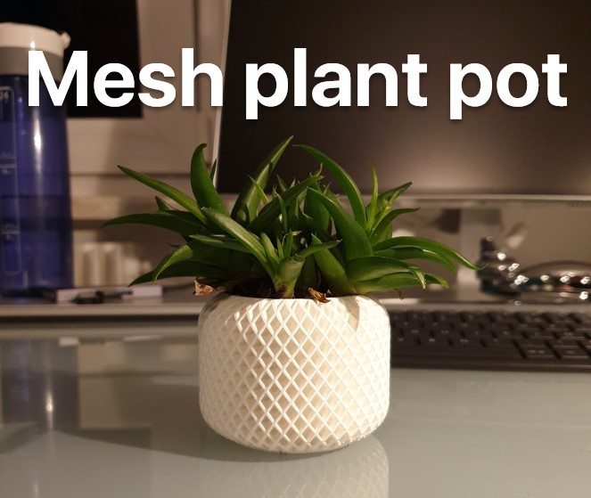 Mesh plant pot