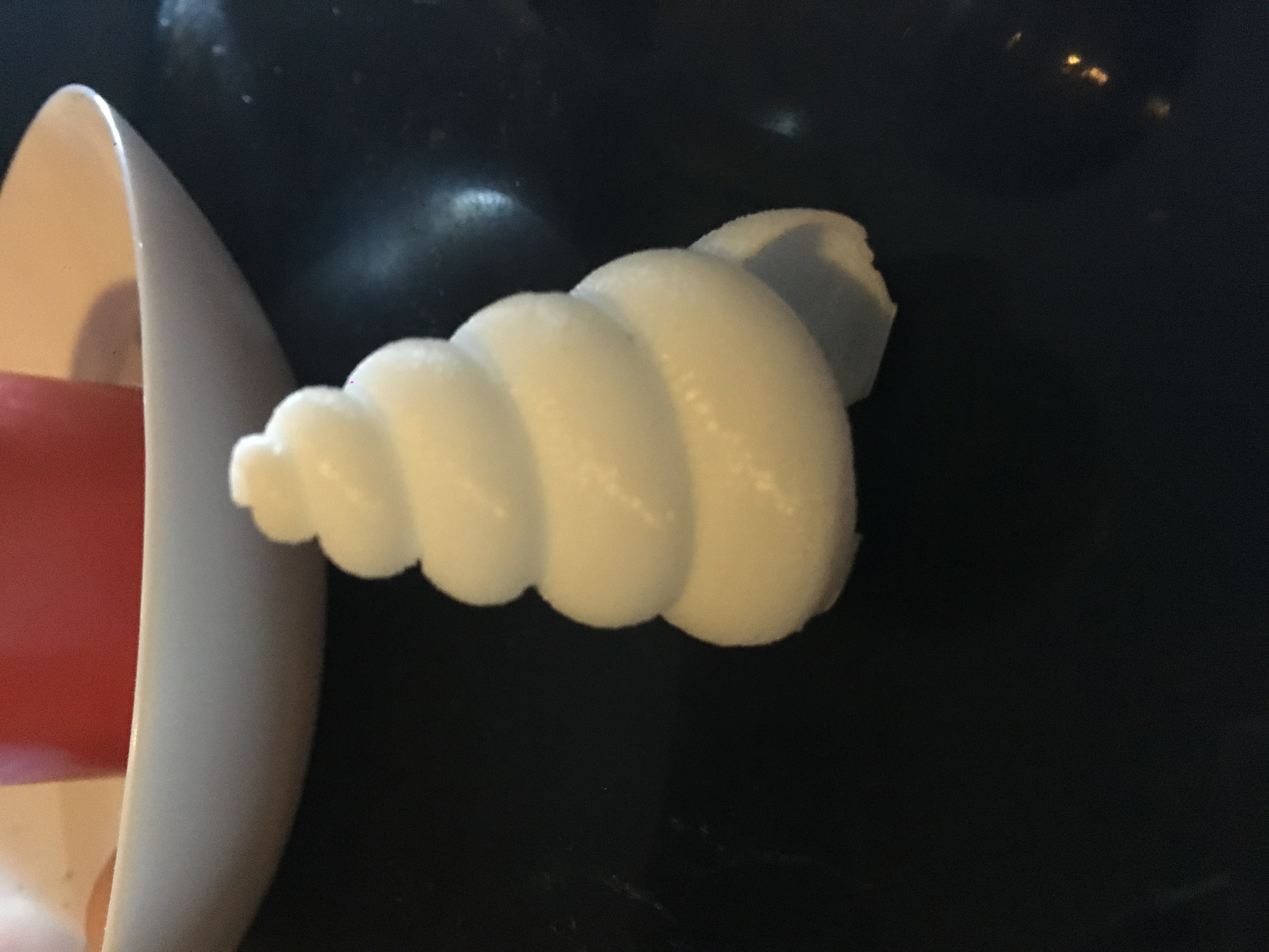 Sea Shell