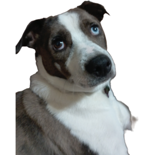 MattChatman
