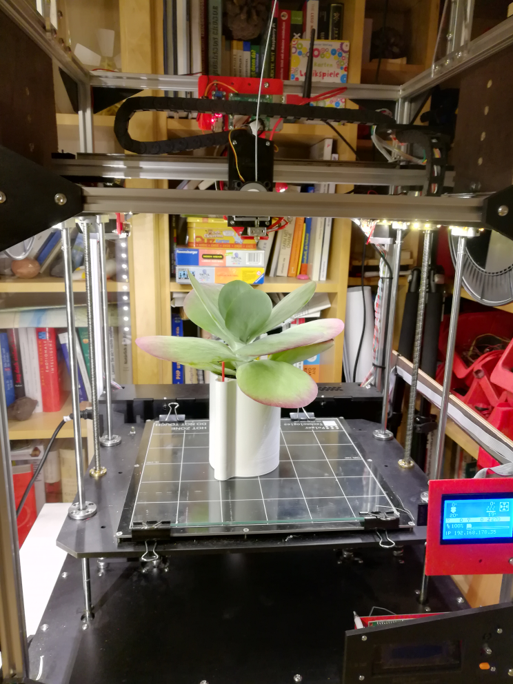 Self watering plant pot with water indicator
