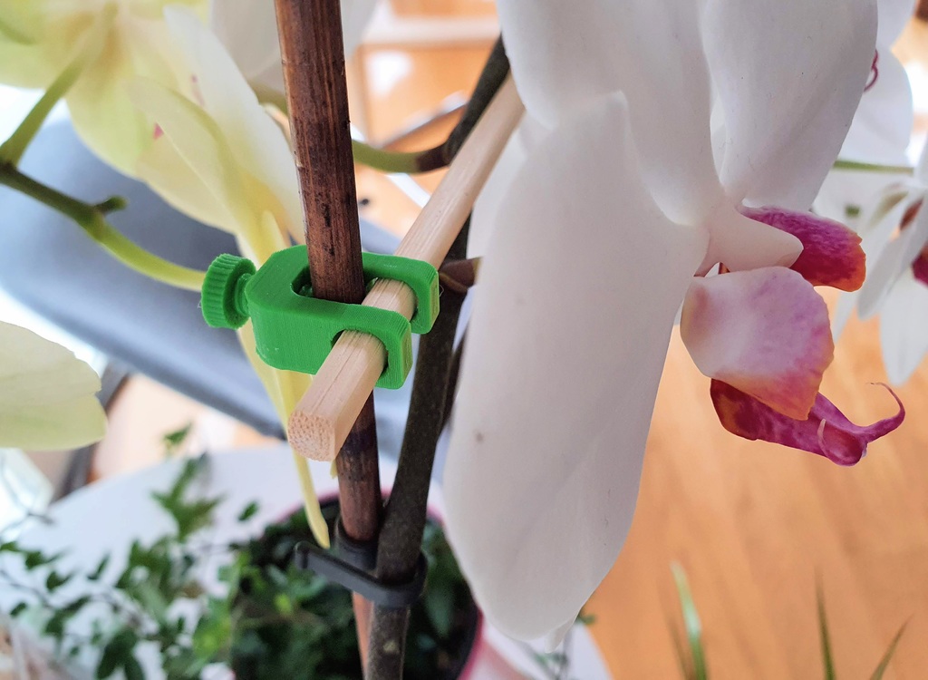 Orchid/plant holder