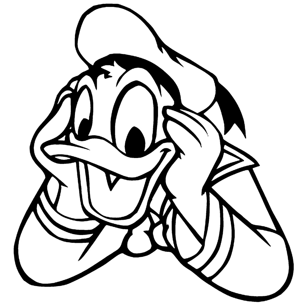2D Donald Duck