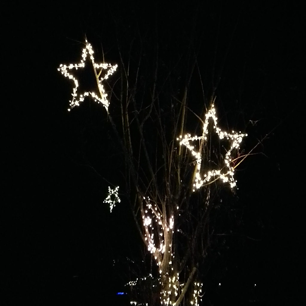 Christmas Light Shapes – Snowflake, Star, Present