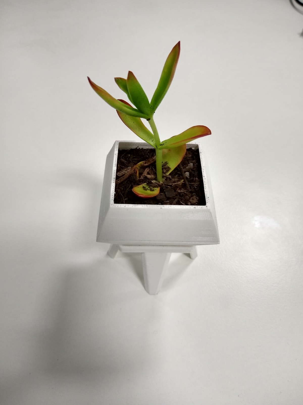 Succulent Pot - Diamond Two Piece