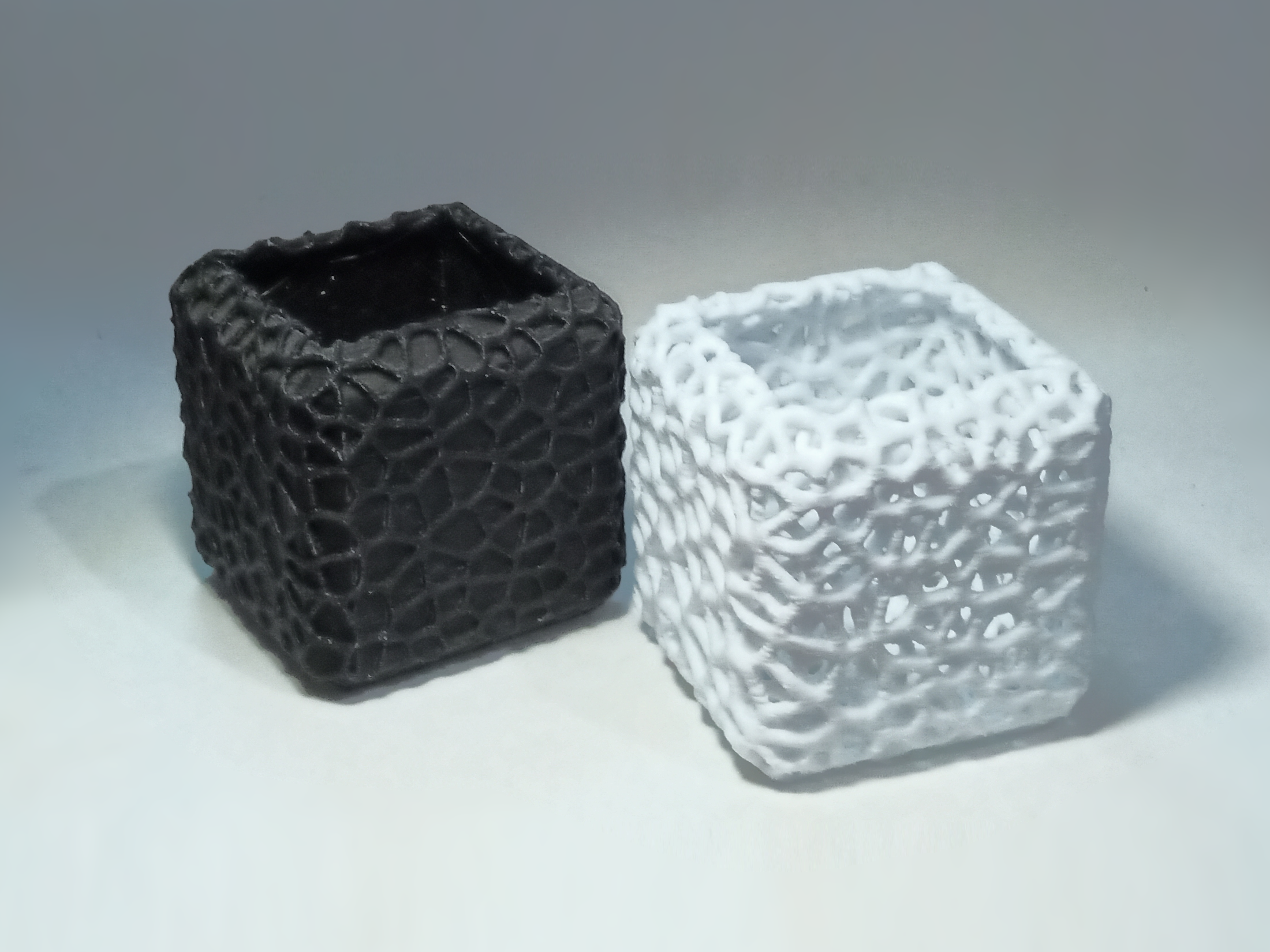 Voronoi cubic planter for aquarium