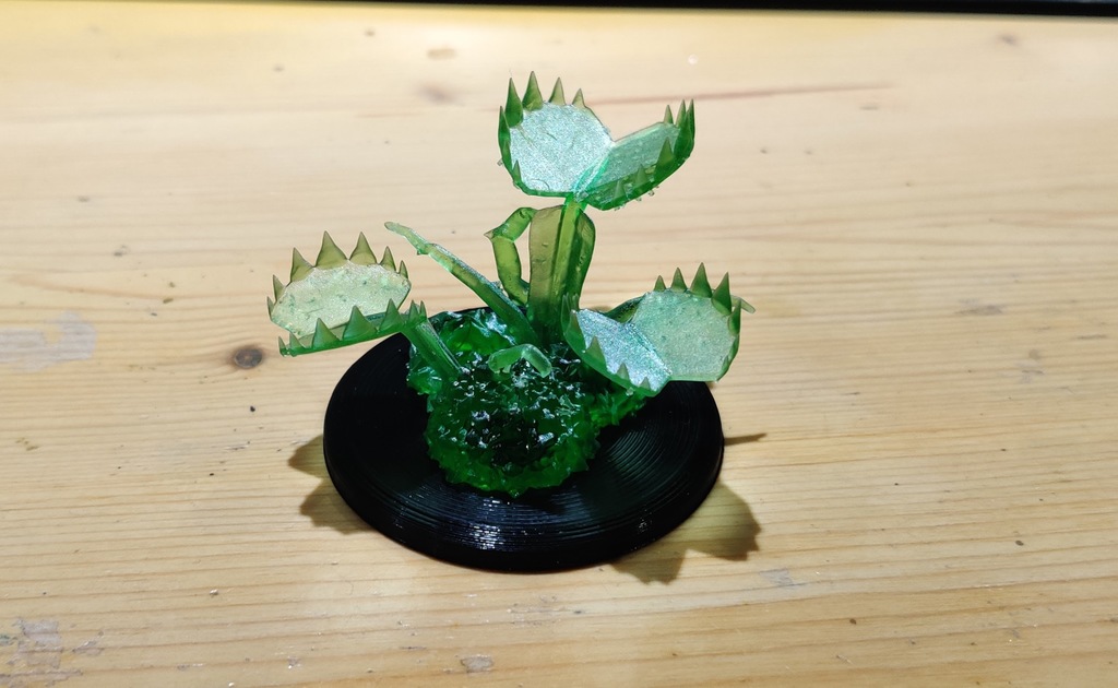 Snapping Flytrap Miniature