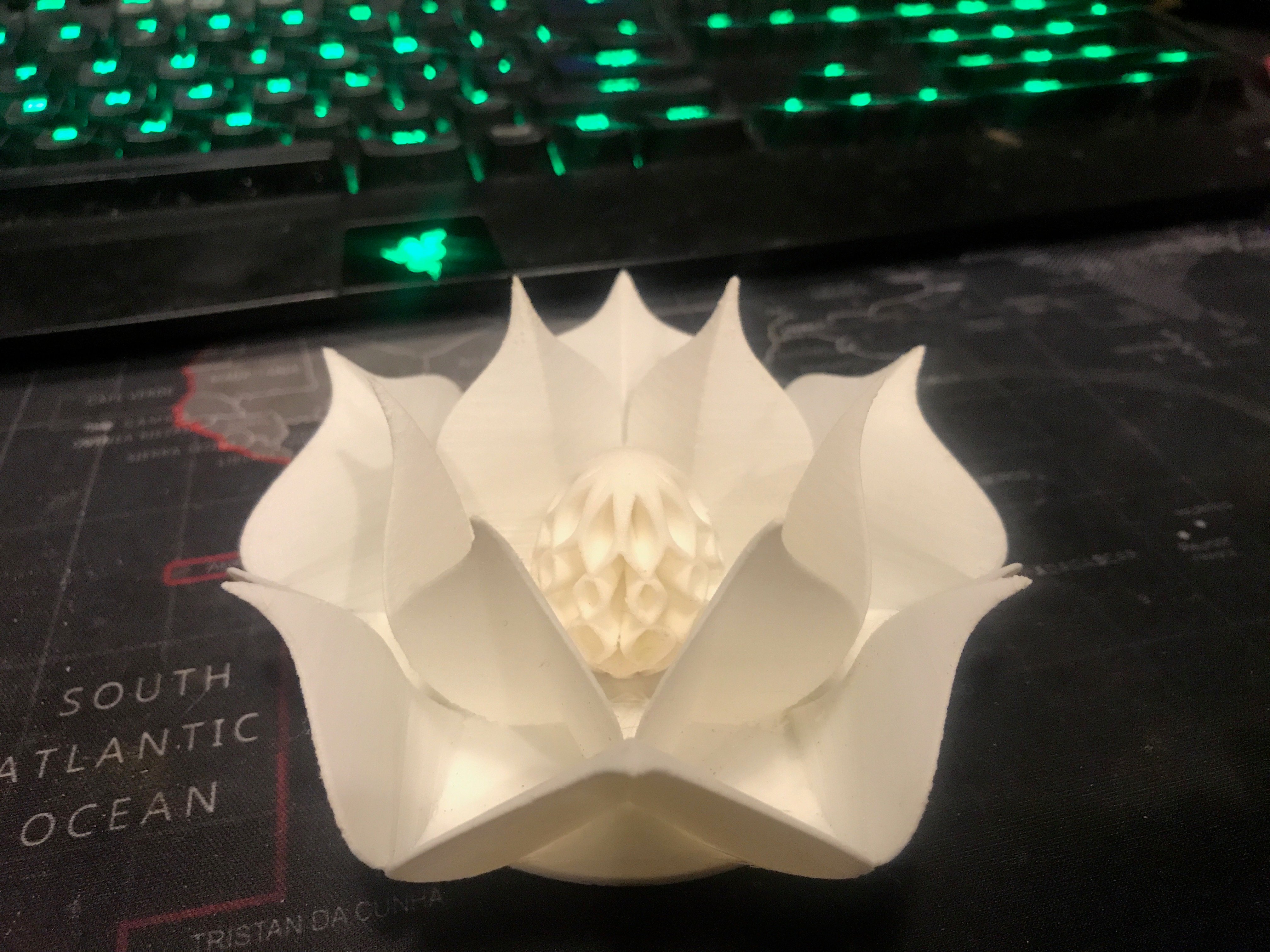 Lotus with egg