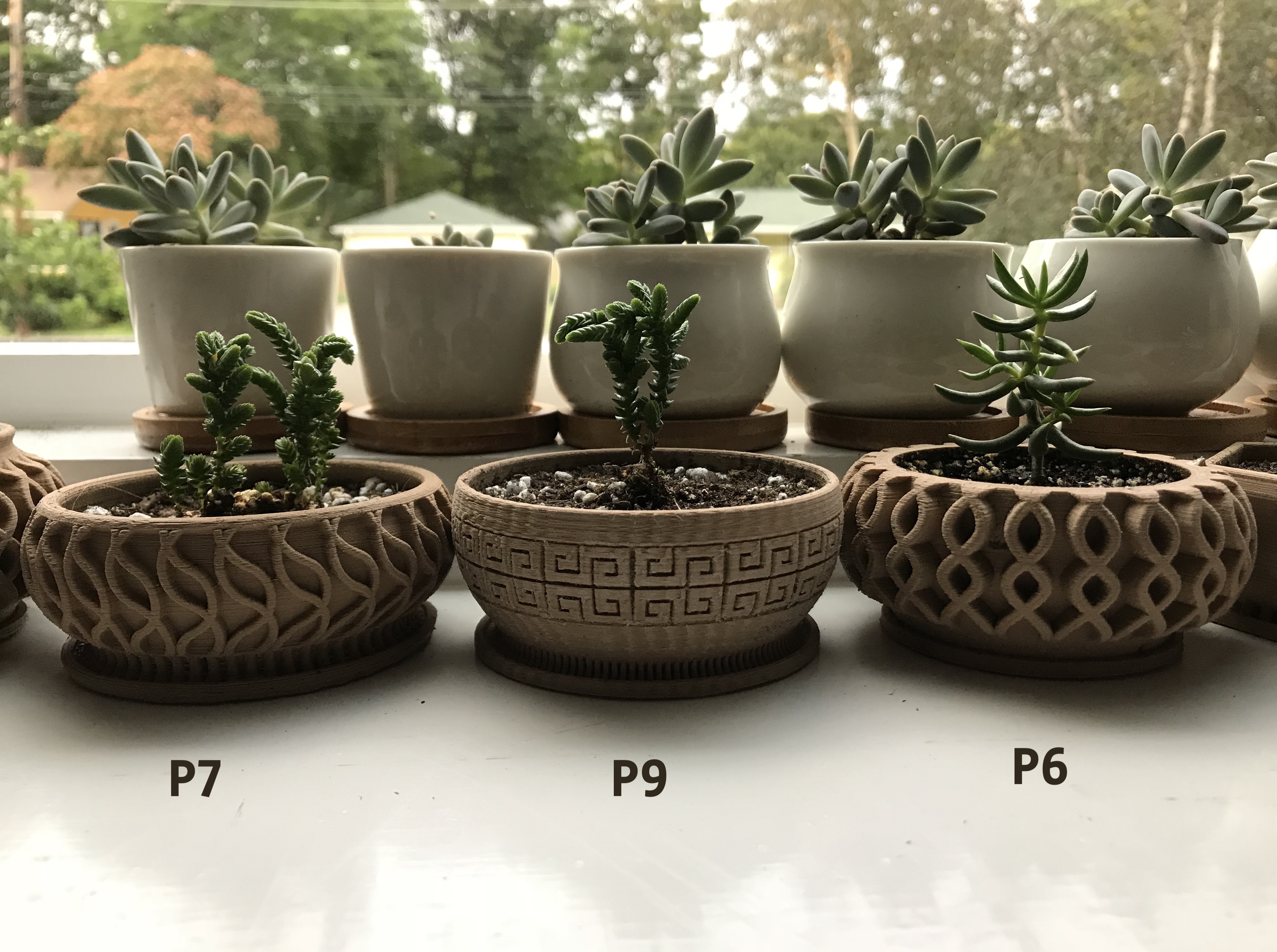 Succulent Planter 7