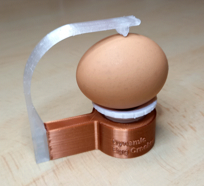 Egg Cracker
