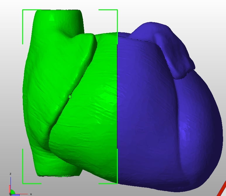Human Heart Anatomical Model, Sliced on Sagittal Plane