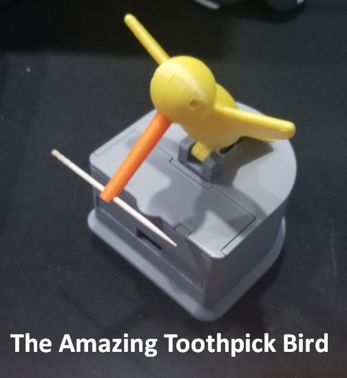 The Amazing Toothpick Bird