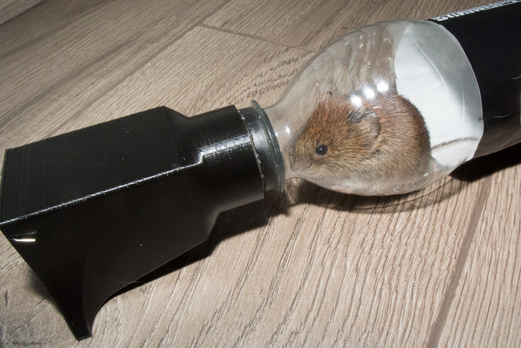 Bottle mousetrap