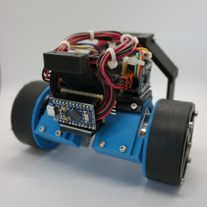 Two-wheeled Inverted Pendulum Robot