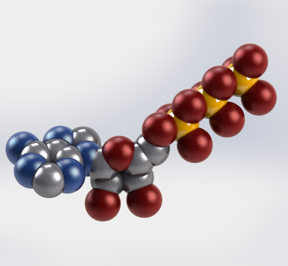 ATP Molecule Model