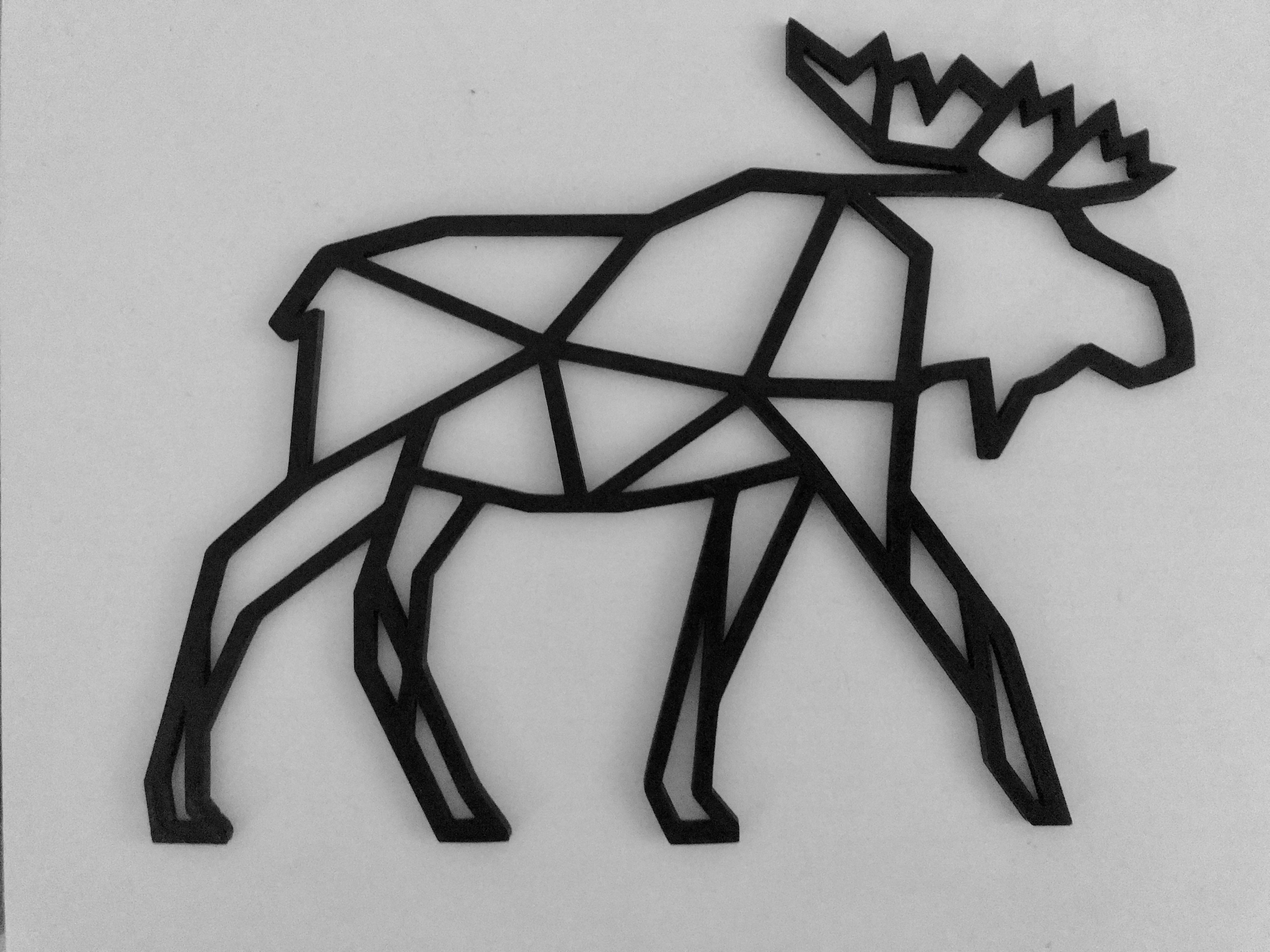 Moose
