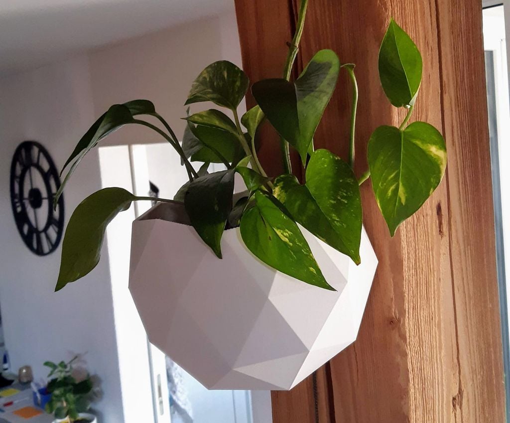 Low poly hanging flower pots