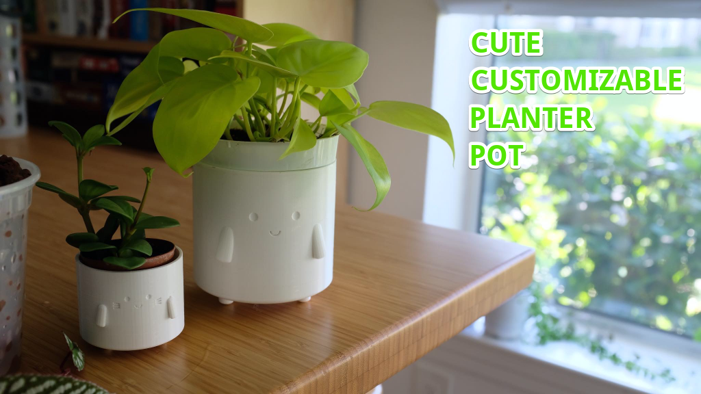 Cute Customizable Planter Pot