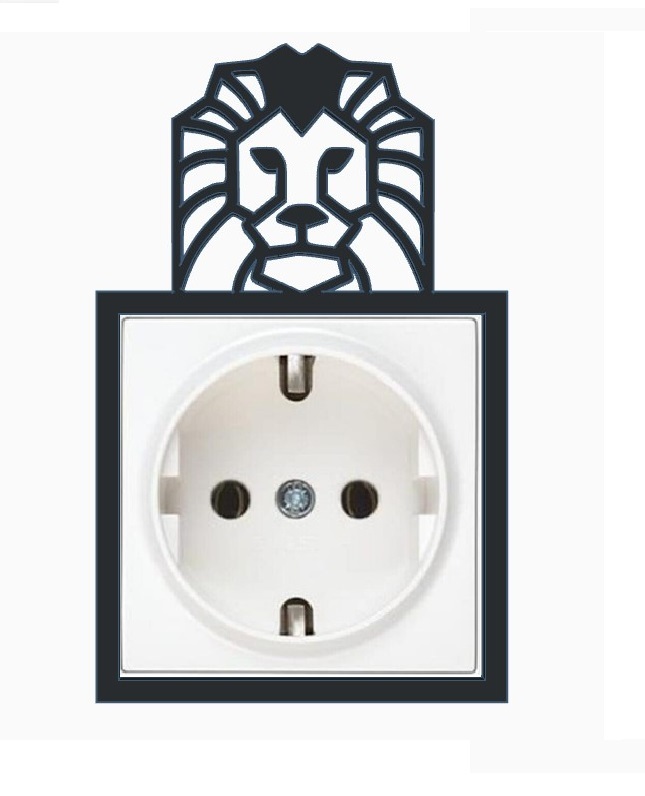Electrical Outlet Decoration