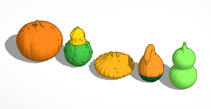 Gourds