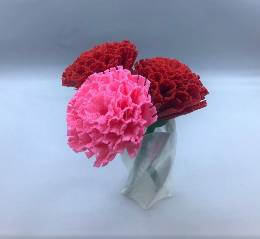 Carnation
