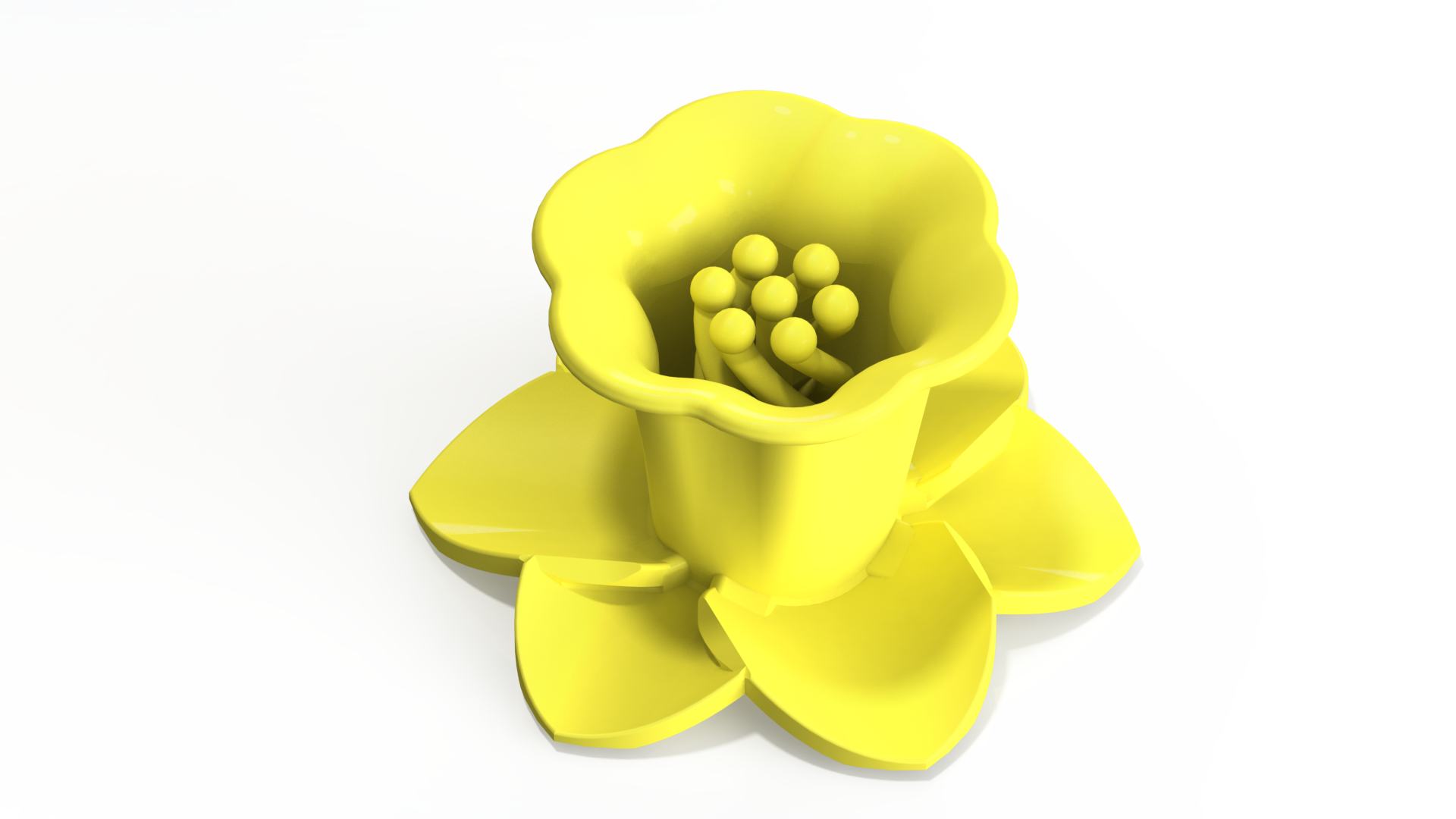 Daffodil with twist stamen