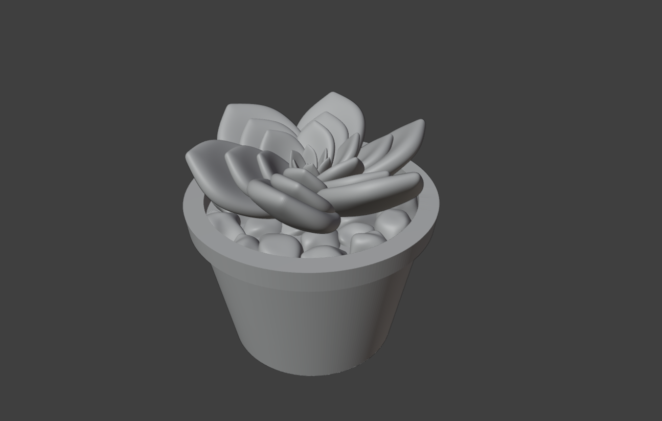Succulent in pot 2