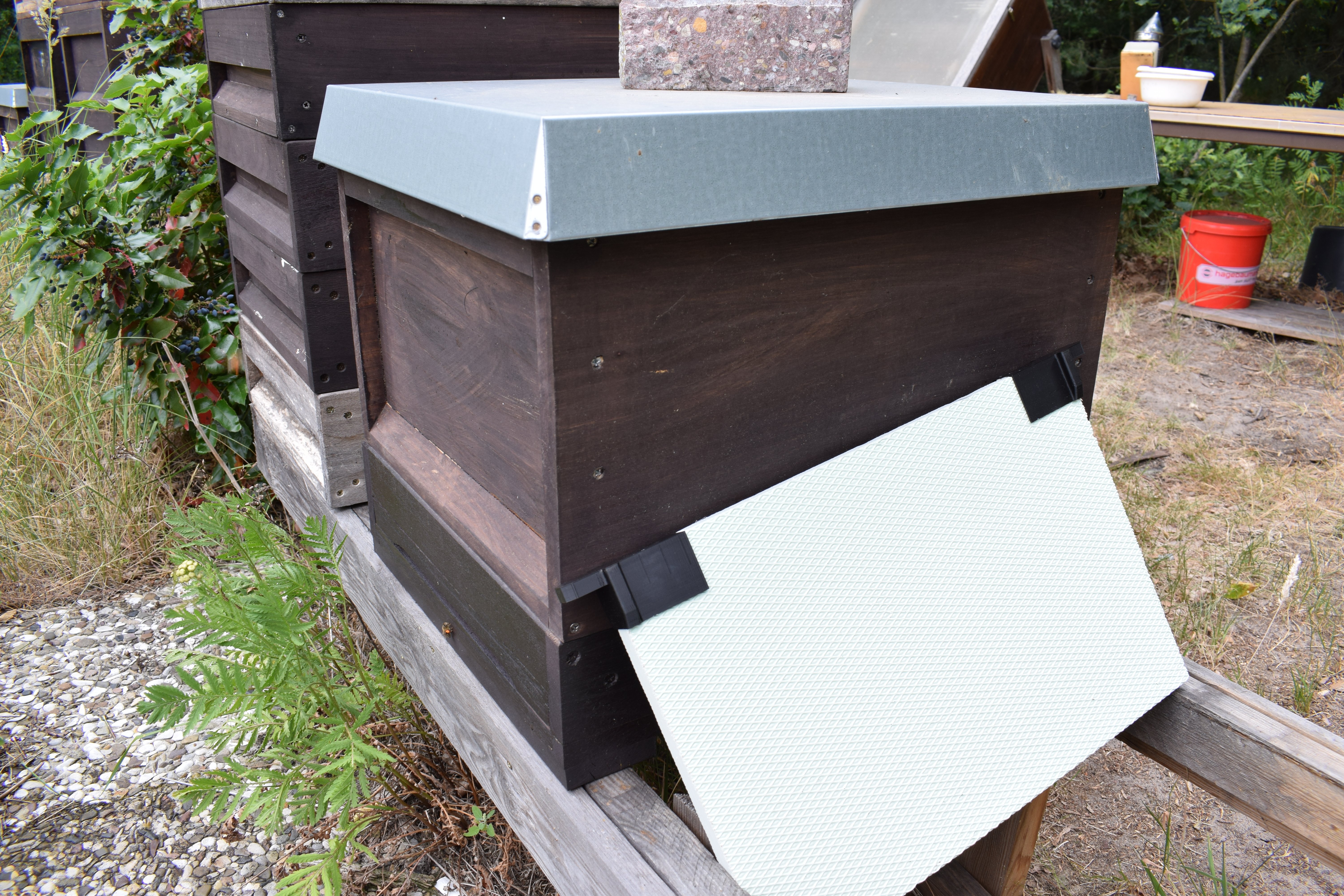 Schied für Bienenhaltung (Zander), Beekeeping separator