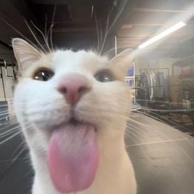 goofball52