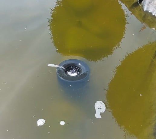 Skimmer for Pond or Pool