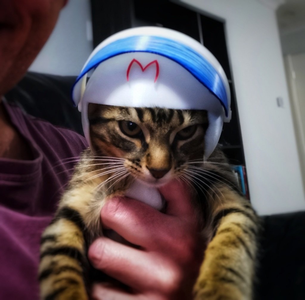 Speed Racer Cat Helmet - PUSS RACER!!