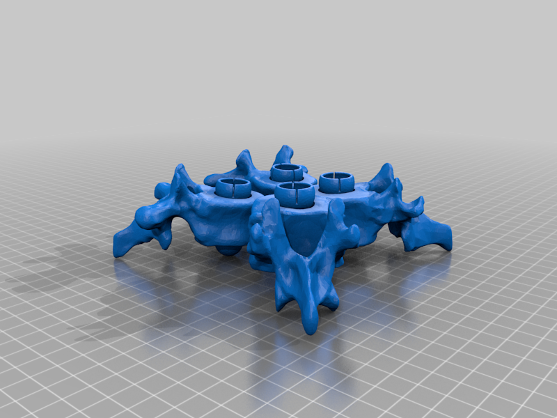 Articulated Spine-Multiple Vertibre Print