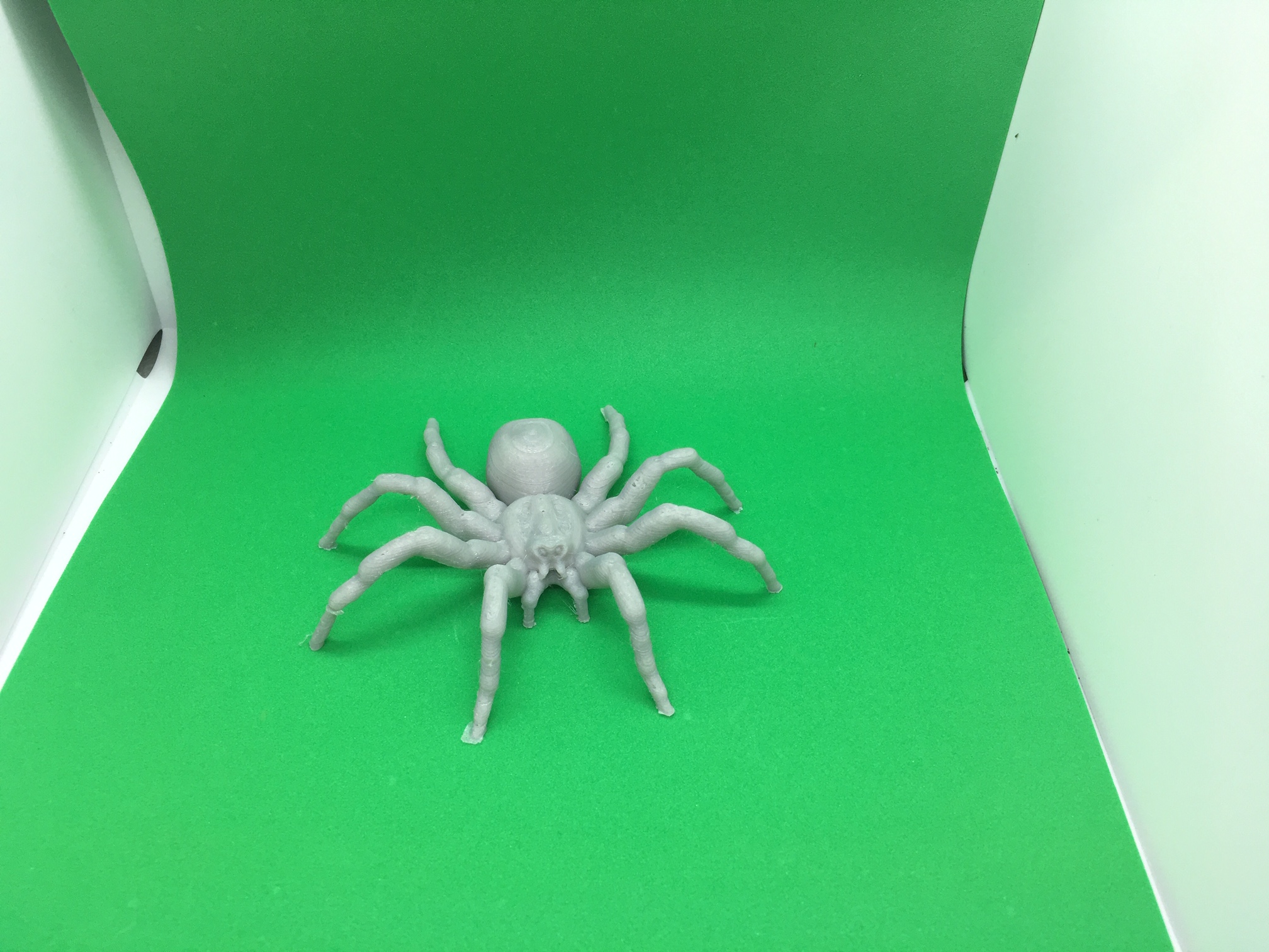 Spider