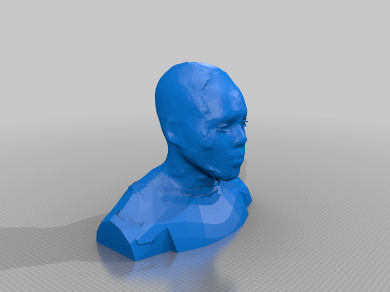Head and Shoulders Bust Scan