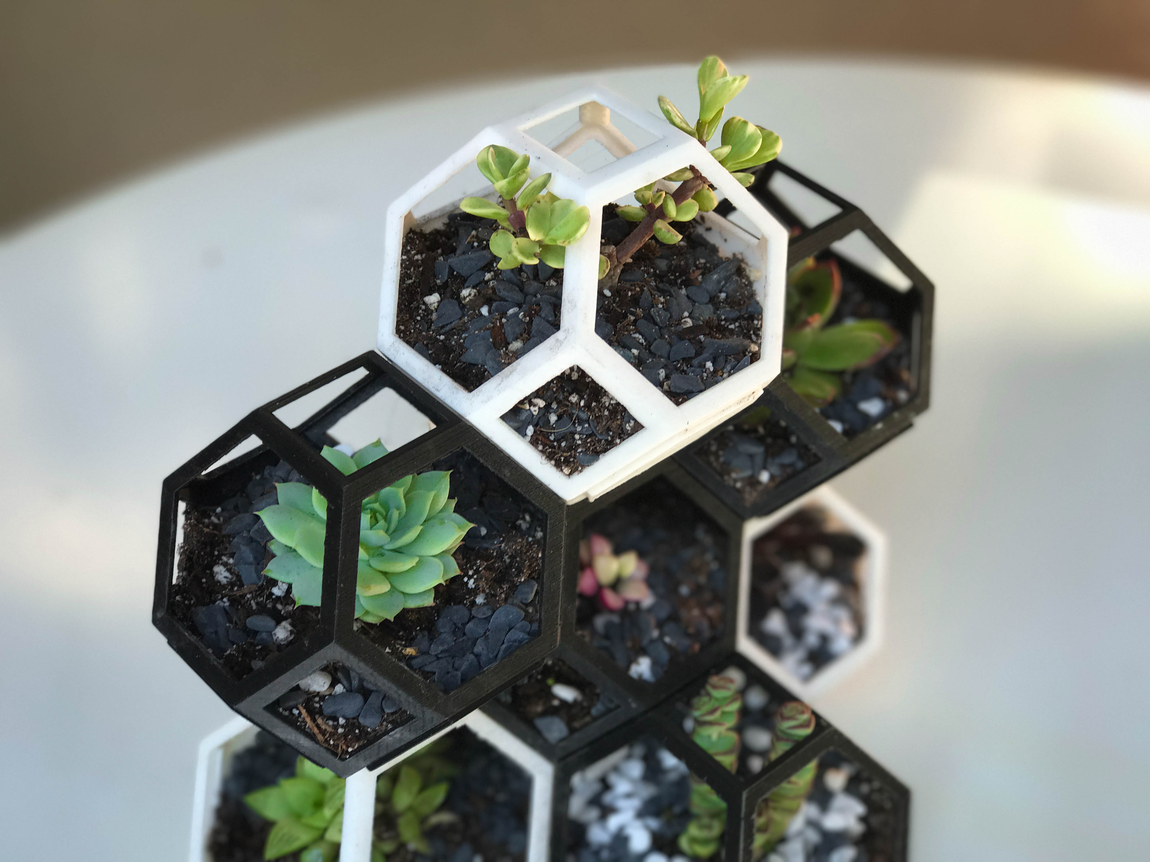 Plantygon - Modular Geometric Stacking Planter for Succulents