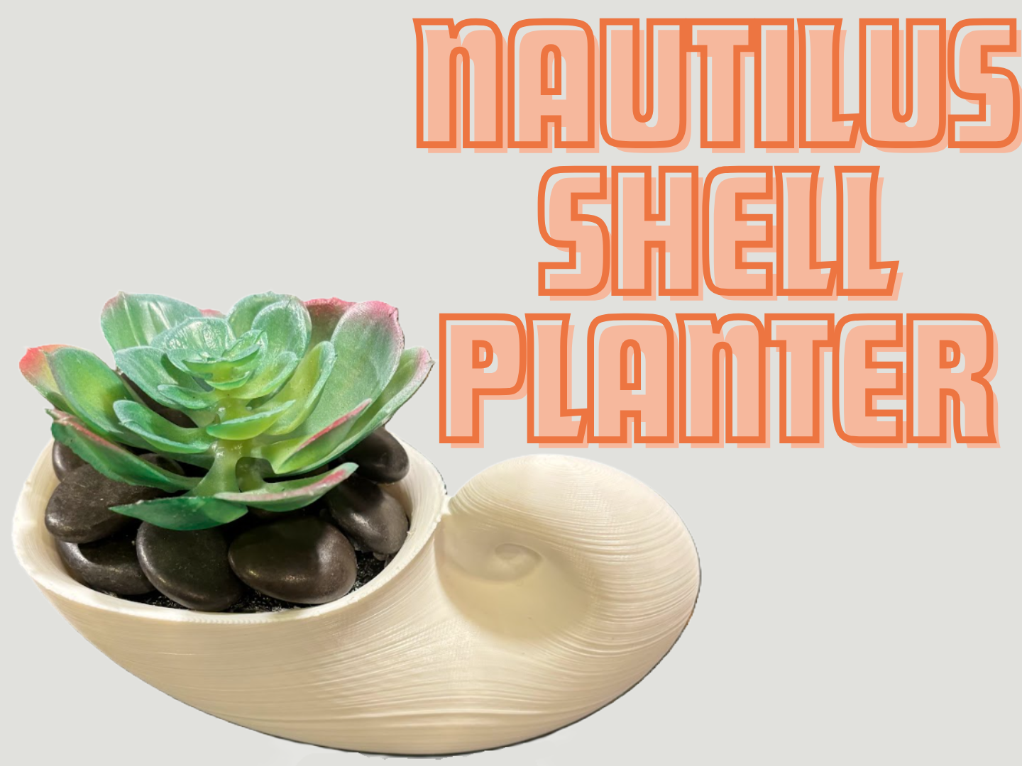 Nautilus Shell Planter