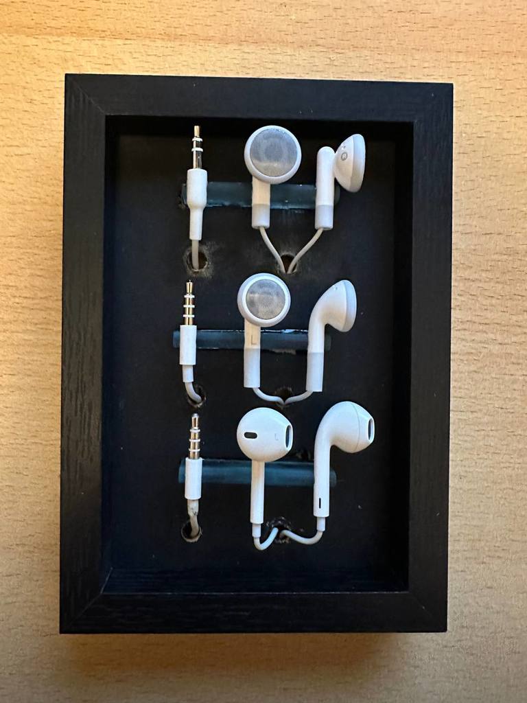 apple earbuds display