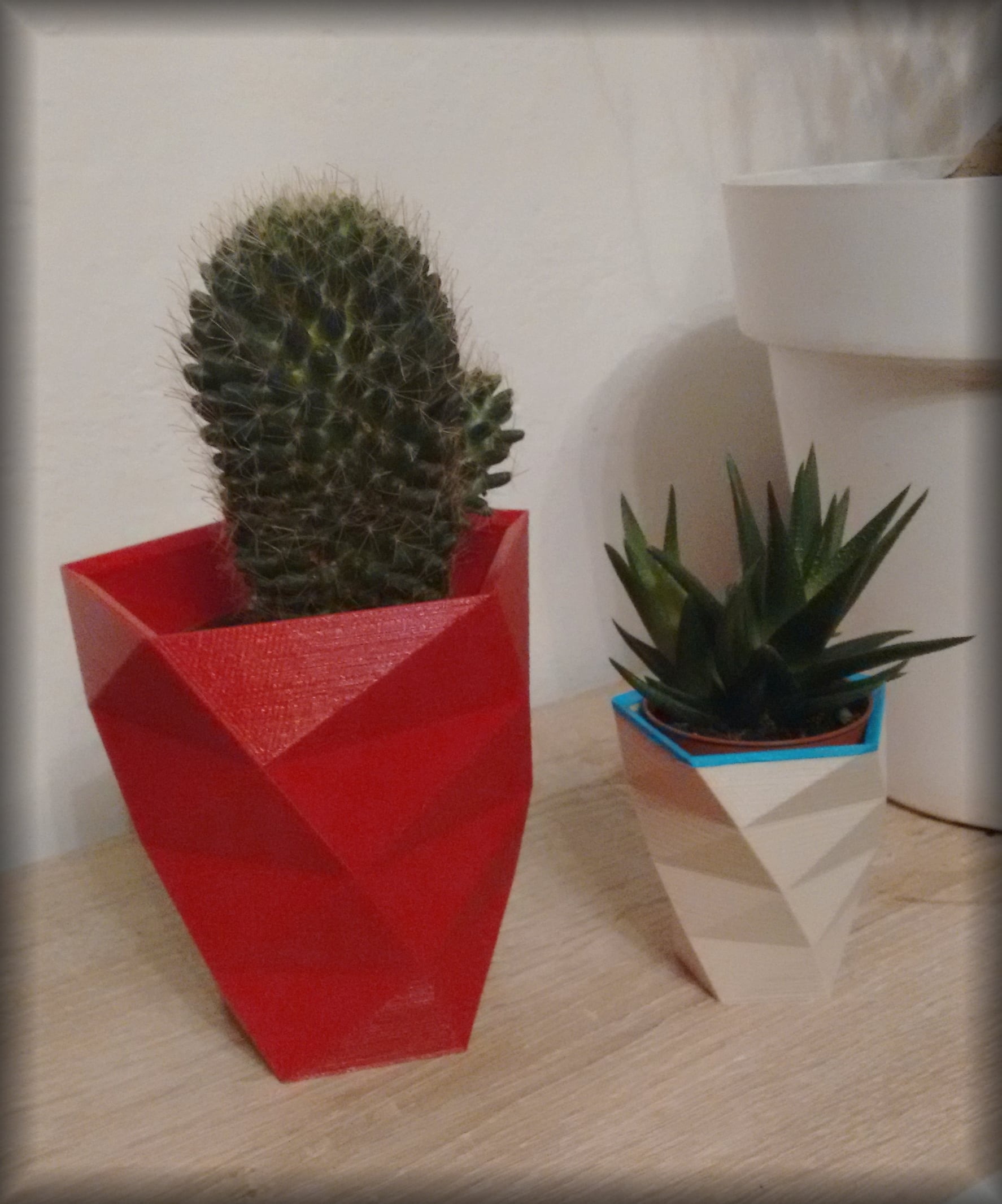 Twisted flowers pot. Pot de fleurs design