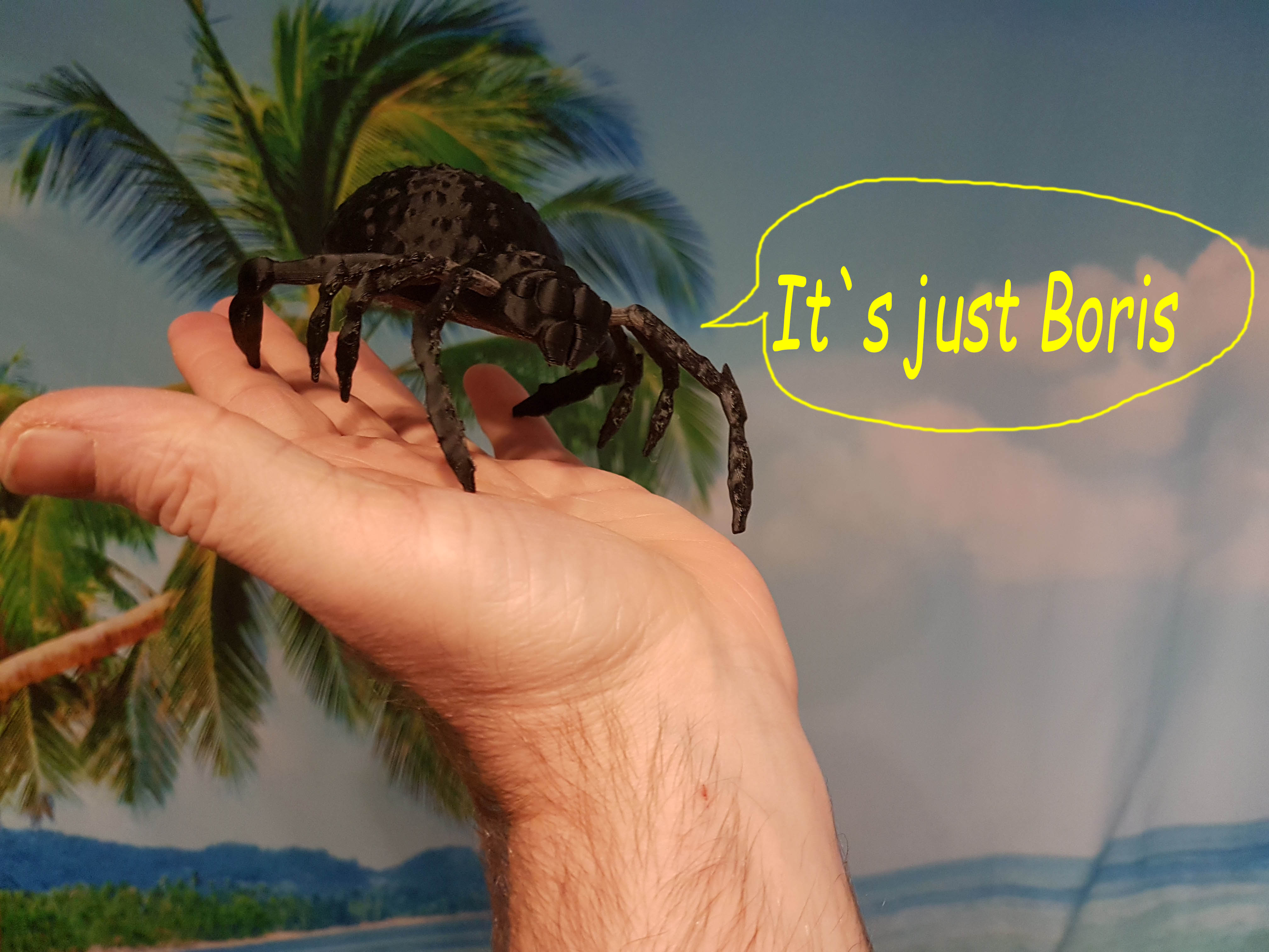 Spider ( BORIS THE HORRIBLE )