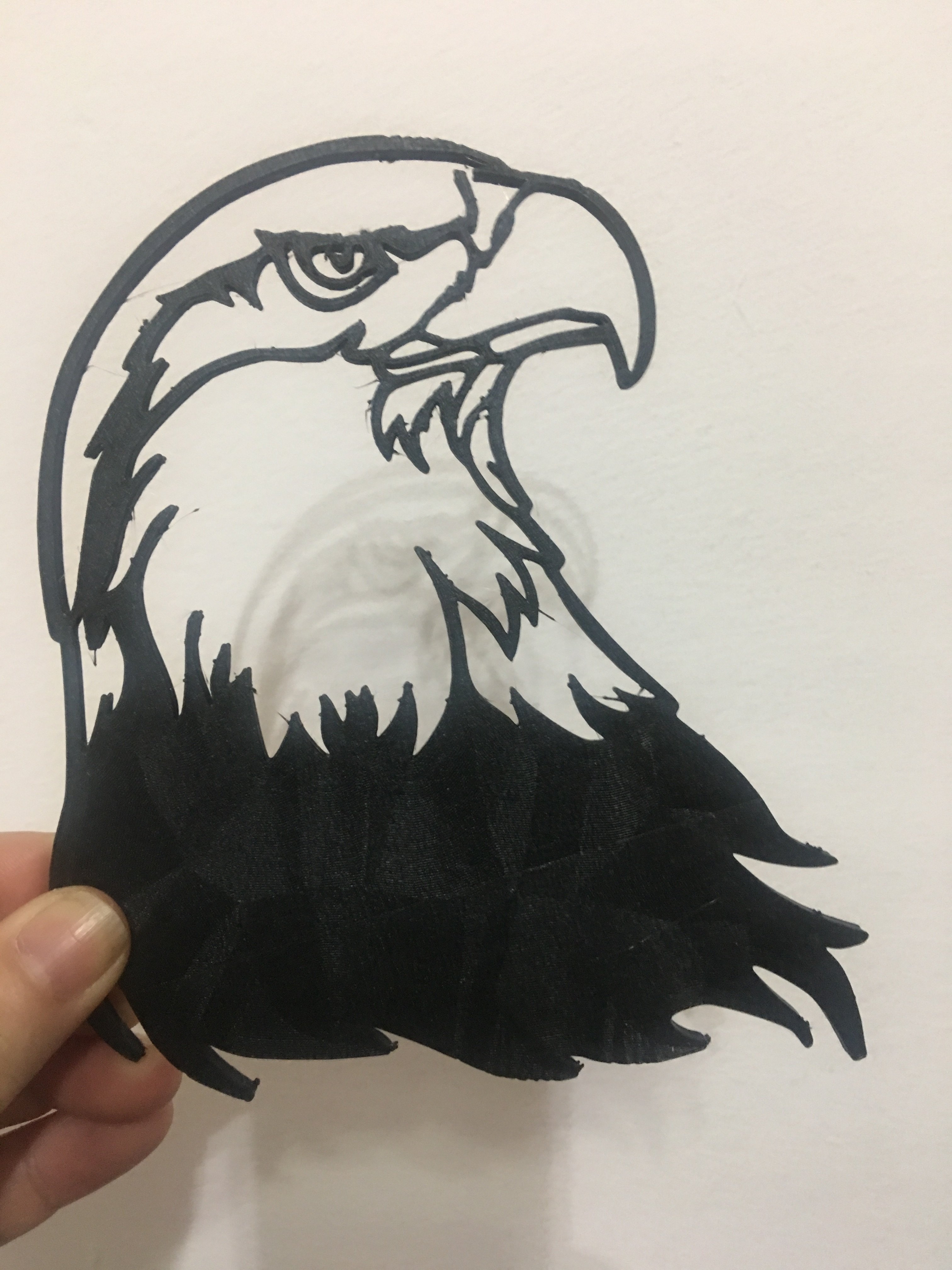 AMERICAN EAGLE wall art /decoration