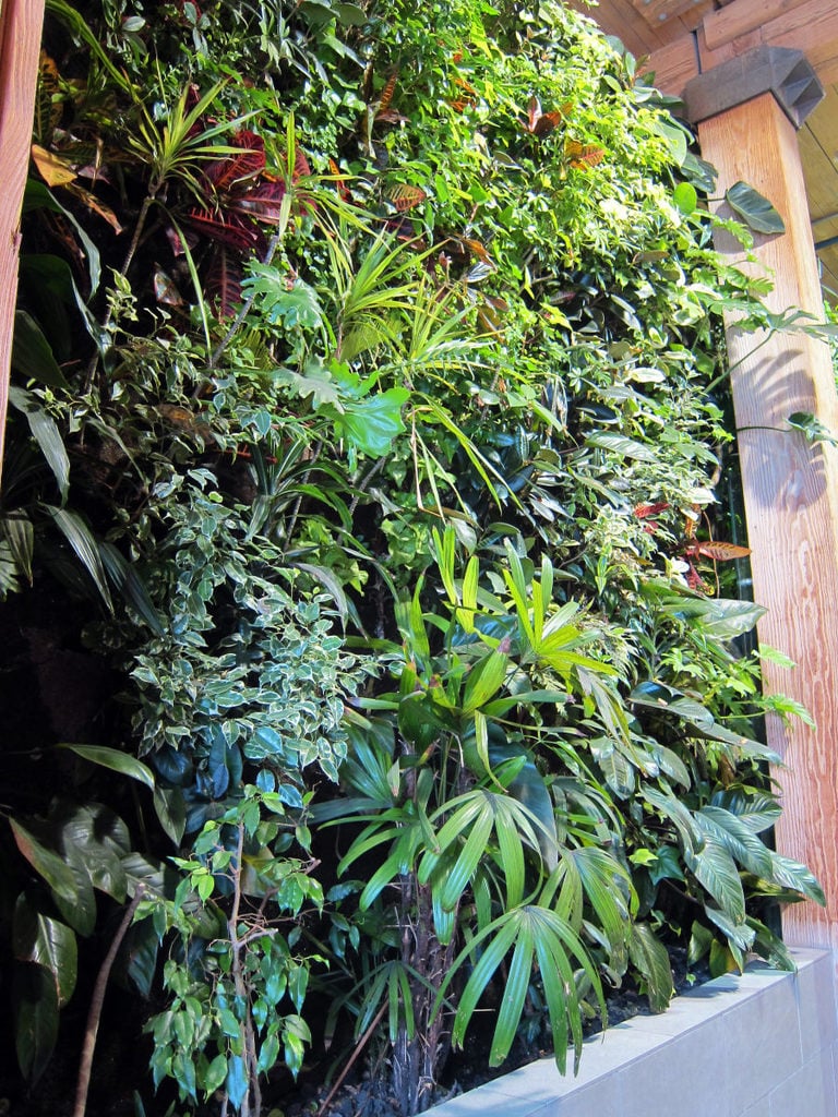 hydroponic Vertical Green wall module in/outdoor