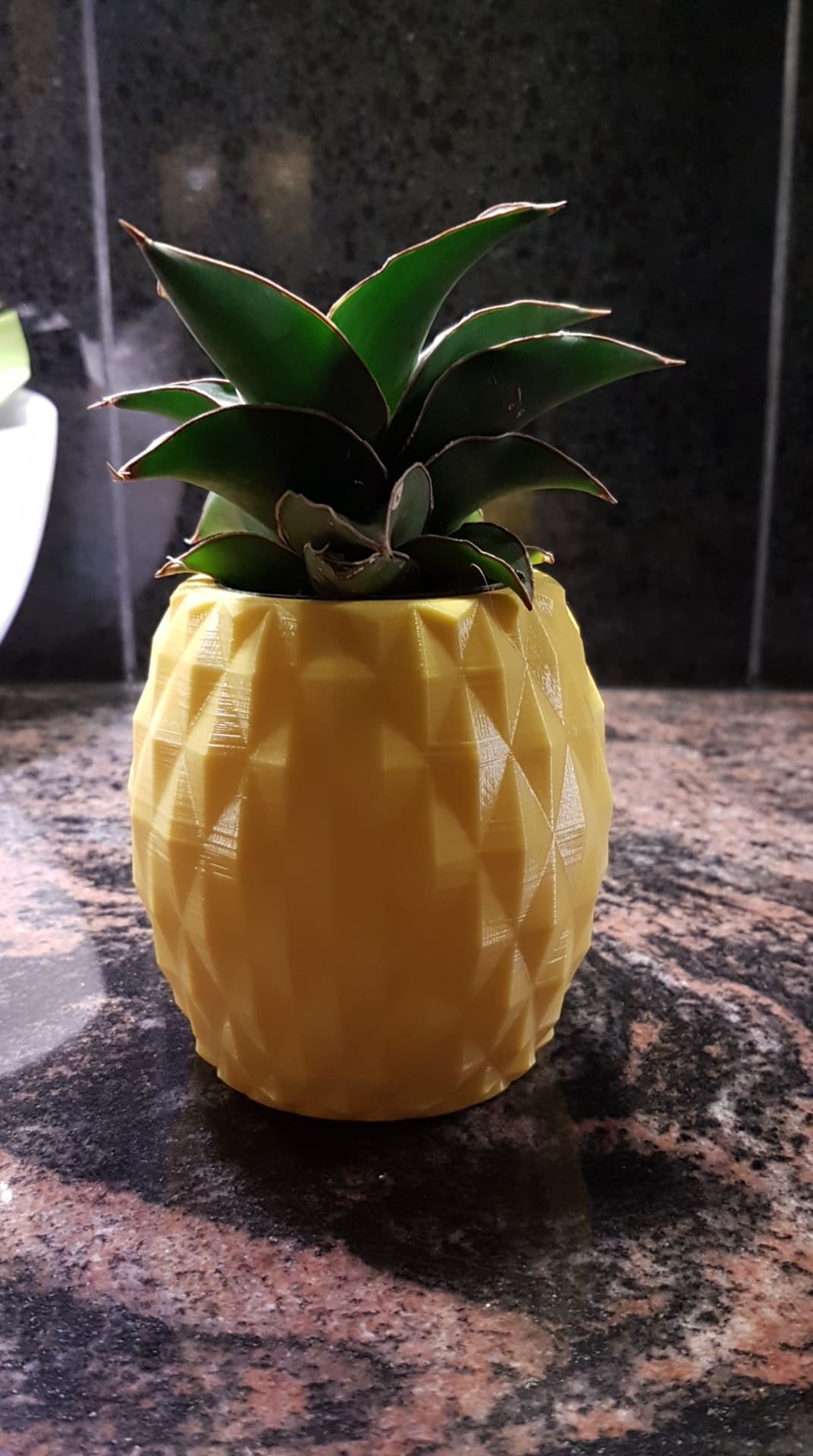 Pineapple Pot