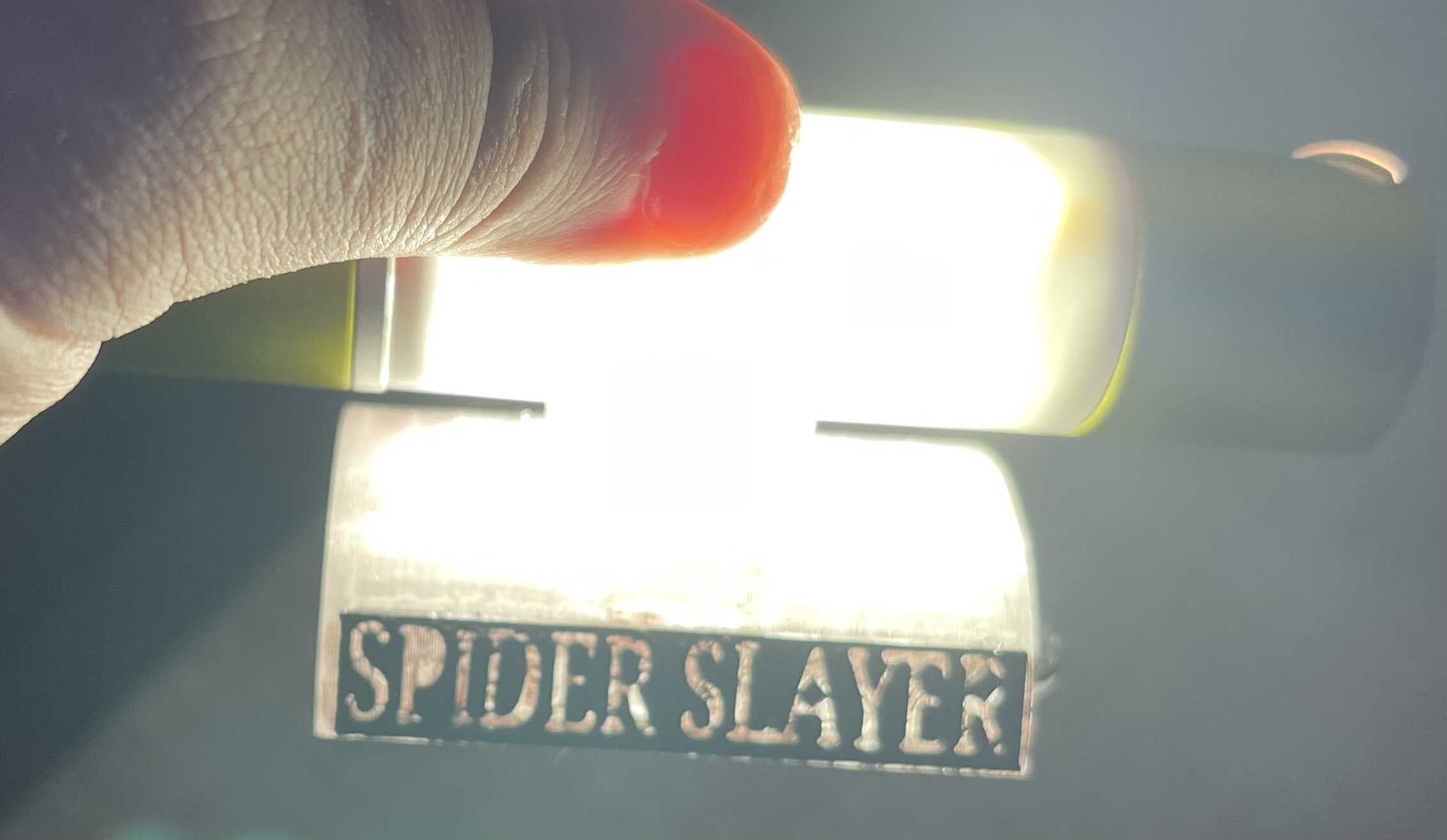 Spider Slayer (Trap)
