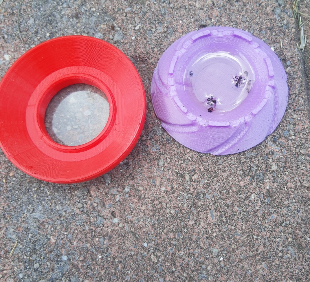 Ant Trap DIY