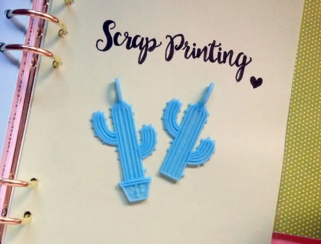 Cactus Charm!