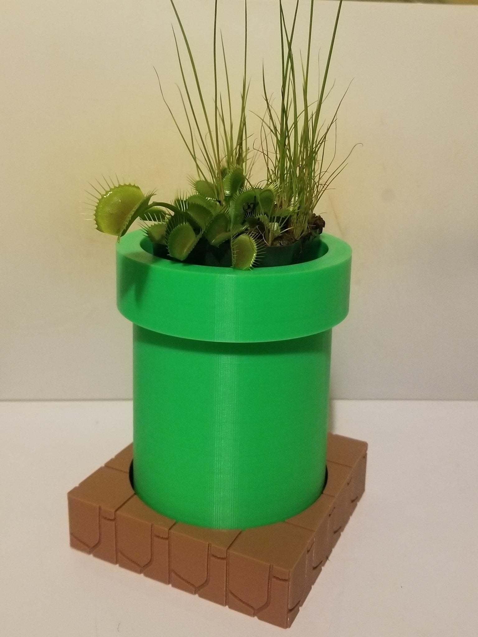 Mario Fly Trap Plant Pot