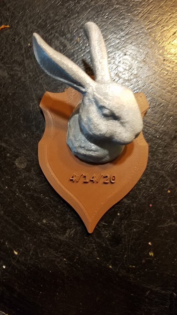 Mounted Bunny Head Trophy