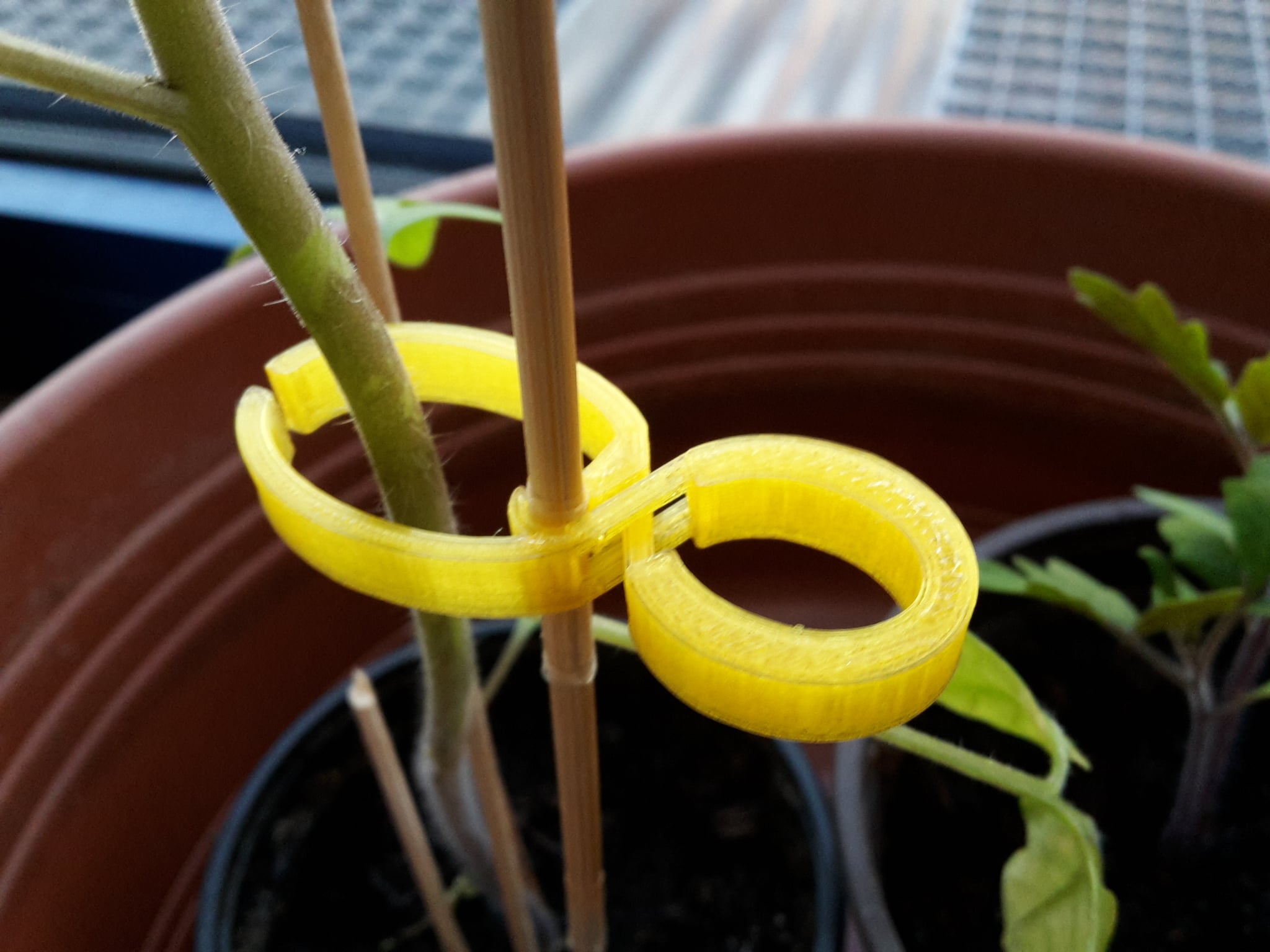plant clip