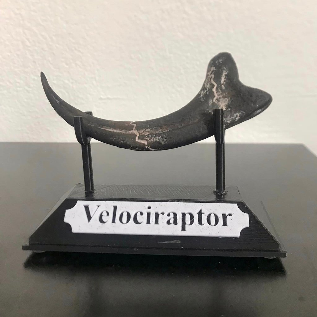 Raptor Claw Display Stand